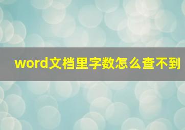 word文档里字数怎么查不到