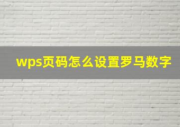 wps页码怎么设置罗马数字