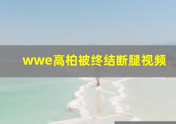 wwe高柏被终结断腿视频