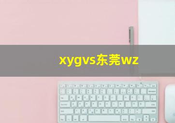 xygvs东莞wz