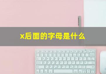 x后面的字母是什么