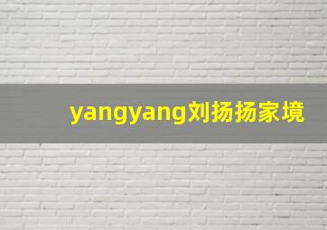 yangyang刘扬扬家境