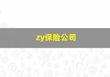 zy保险公司