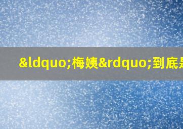 “梅姨”到底是谁