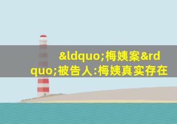 “梅姨案”被告人:梅姨真实存在