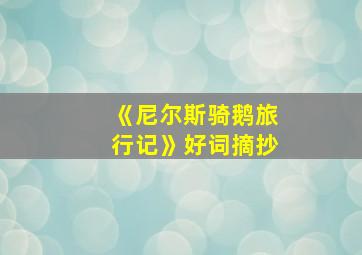 《尼尔斯骑鹅旅行记》好词摘抄