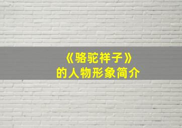 《骆驼祥子》的人物形象简介