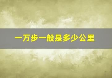 一万步一般是多少公里