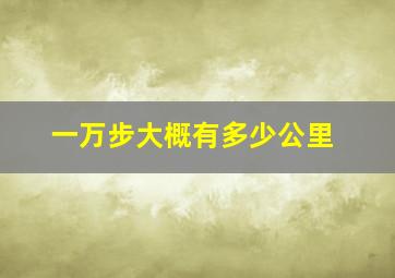 一万步大概有多少公里