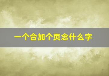 一个合加个页念什么字