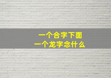 一个合字下面一个龙字念什么