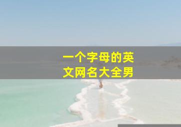 一个字母的英文网名大全男