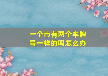 一个市有两个车牌号一样的吗怎么办