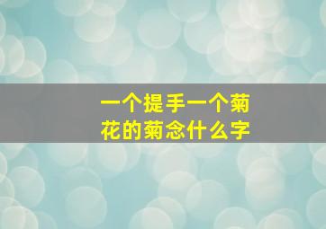 一个提手一个菊花的菊念什么字