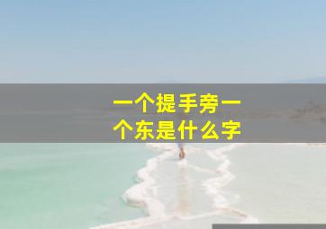 一个提手旁一个东是什么字