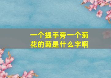 一个提手旁一个菊花的菊是什么字啊