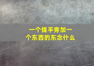 一个提手旁加一个东西的东念什么