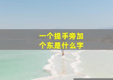 一个提手旁加个东是什么字