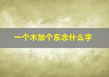 一个木加个东念什么字