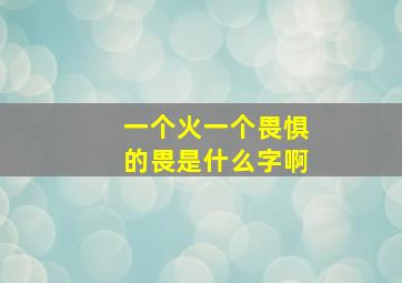 一个火一个畏惧的畏是什么字啊