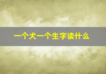 一个犬一个生字读什么