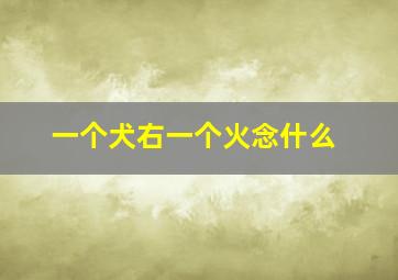 一个犬右一个火念什么