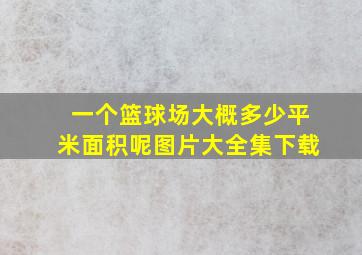 一个篮球场大概多少平米面积呢图片大全集下载