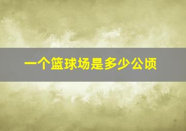 一个篮球场是多少公顷