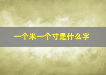 一个米一个寸是什么字