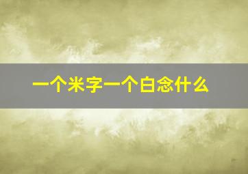 一个米字一个白念什么