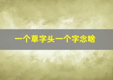 一个草字头一个字念啥