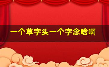 一个草字头一个字念啥啊