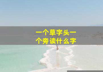 一个草字头一个旁读什么字