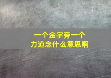 一个金字旁一个力道念什么意思啊