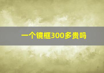 一个镜框300多贵吗