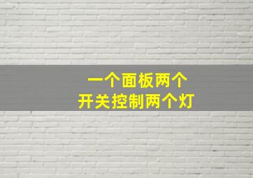 一个面板两个开关控制两个灯