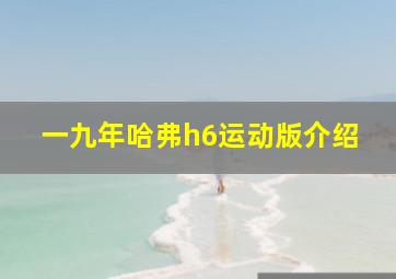 一九年哈弗h6运动版介绍