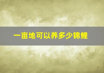 一亩地可以养多少锦鲤