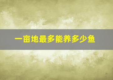 一亩地最多能养多少鱼