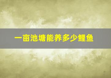 一亩池塘能养多少鲤鱼