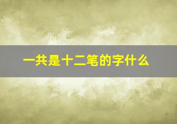 一共是十二笔的字什么