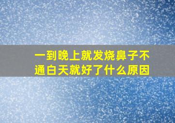 一到晚上就发烧鼻子不通白天就好了什么原因