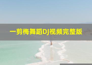 一剪梅舞蹈DJ视频完整版