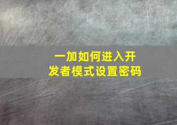 一加如何进入开发者模式设置密码