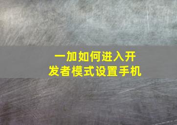 一加如何进入开发者模式设置手机