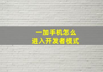 一加手机怎么进入开发者模式