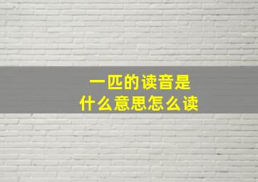 一匹的读音是什么意思怎么读