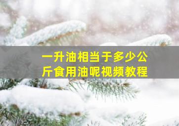 一升油相当于多少公斤食用油呢视频教程