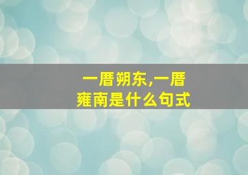 一厝朔东,一厝雍南是什么句式