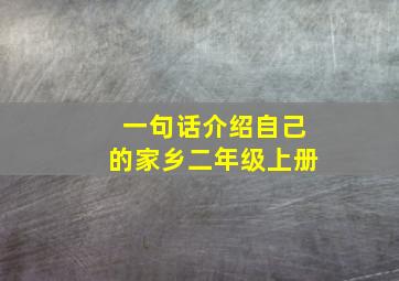 一句话介绍自己的家乡二年级上册